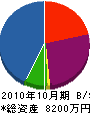 手塚興業 貸借対照表 2010年10月期