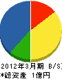 小沢工業所 貸借対照表 2012年3月期