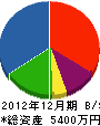 藤田土建 貸借対照表 2012年12月期