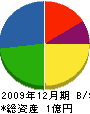 鳥谷峰建設 貸借対照表 2009年12月期