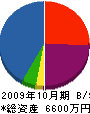 榊原ワークスタジオ 貸借対照表 2009年10月期