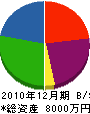 柴田組 貸借対照表 2010年12月期