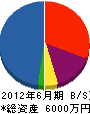 徳田電工社 貸借対照表 2012年6月期