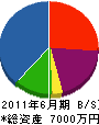 咲田建装工業 貸借対照表 2011年6月期
