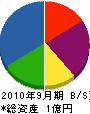 矢野硝子店 貸借対照表 2010年9月期