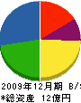 丸菱 貸借対照表 2009年12月期