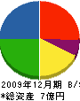 キヨナガ 貸借対照表 2009年12月期