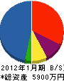 タナハシ設備 貸借対照表 2012年1月期