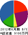 関根電気工事 貸借対照表 2012年6月期