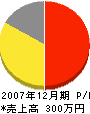 石田ボーリング 損益計算書 2007年12月期