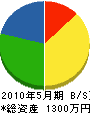 緒川設備 貸借対照表 2010年5月期