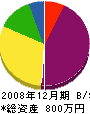 國分塗装店 貸借対照表 2008年12月期