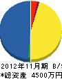 九州ケント 貸借対照表 2012年11月期