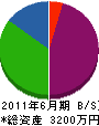 坂本塗装店 貸借対照表 2011年6月期