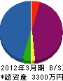蛭田電設 貸借対照表 2012年3月期