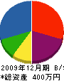 飯野電気 貸借対照表 2009年12月期