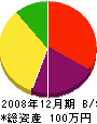 新湊土石 貸借対照表 2008年12月期