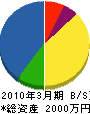 佐藤電気商会 貸借対照表 2010年3月期