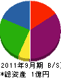 千葉工務店 貸借対照表 2011年9月期