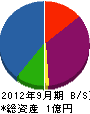 新日本電工 貸借対照表 2012年9月期