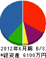 渡邊建設 貸借対照表 2012年6月期