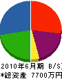 中沢工業 貸借対照表 2010年6月期