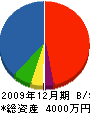 タイキ工業 貸借対照表 2009年12月期