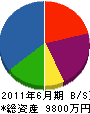 渡辺建設工業 貸借対照表 2011年6月期