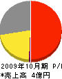 武蔵興産 損益計算書 2009年10月期