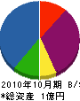 江戸川電設 貸借対照表 2010年10月期