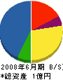 大晃重設 貸借対照表 2008年6月期