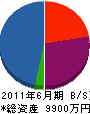中村電気 貸借対照表 2011年6月期