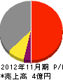 昭電社 損益計算書 2012年11月期