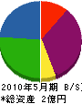 松井エンタープライズ 貸借対照表 2010年5月期