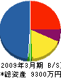 キューヤマ 貸借対照表 2009年3月期