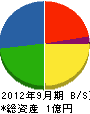 藤本電機 貸借対照表 2012年9月期