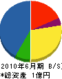 岡本産業 貸借対照表 2010年6月期