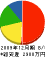 矢木建設 貸借対照表 2009年12月期