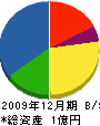 高松建設 貸借対照表 2009年12月期