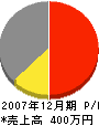 新栄土木興業 損益計算書 2007年12月期