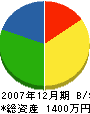 渡辺勲工務店 貸借対照表 2007年12月期