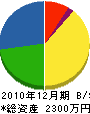 石山電工 貸借対照表 2010年12月期