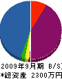 赤坂電機 貸借対照表 2009年9月期