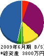 細田電気管理事務所 貸借対照表 2009年6月期
