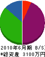 坂本塗装店 貸借対照表 2010年6月期