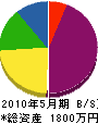 武井電気 貸借対照表 2010年5月期