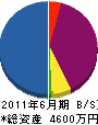 佐久川電研 貸借対照表 2011年6月期