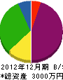 栄大建築 貸借対照表 2012年12月期