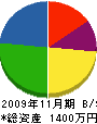 中村塗装 貸借対照表 2009年11月期
