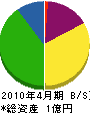 藤沢組 貸借対照表 2010年4月期